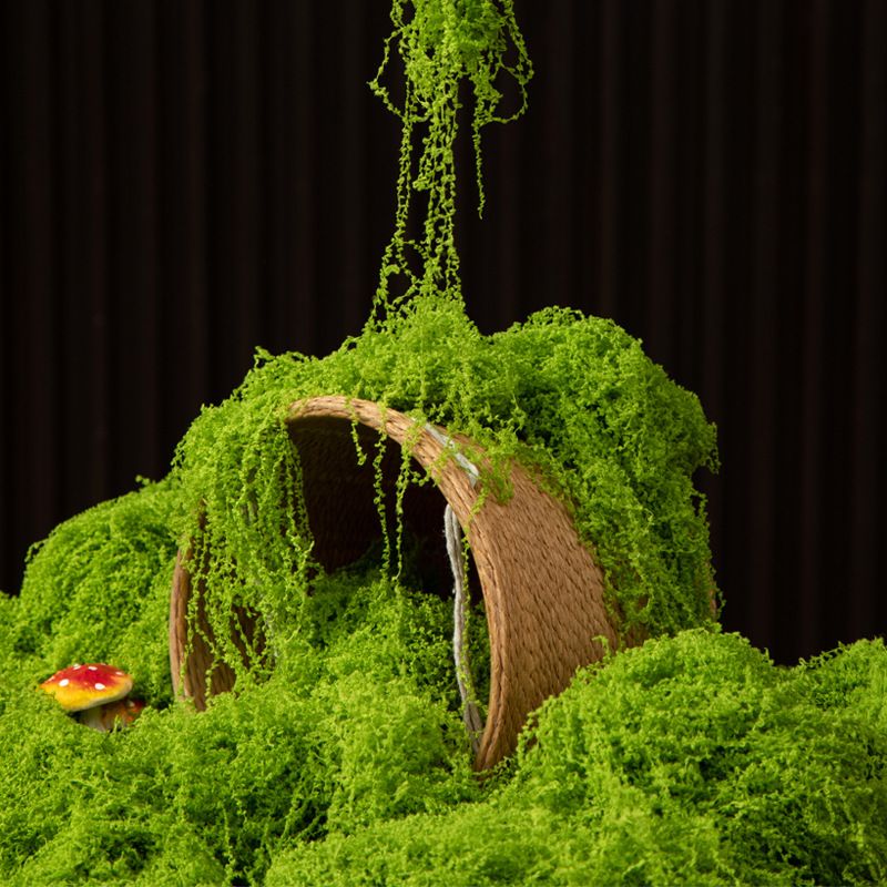Bonsai Garden Home - 200g 영원한 생명 이끼 DIY 공예