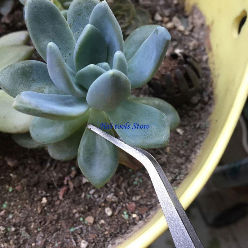Bonsai Garden Shop - x37e 2 in 1 1 원예