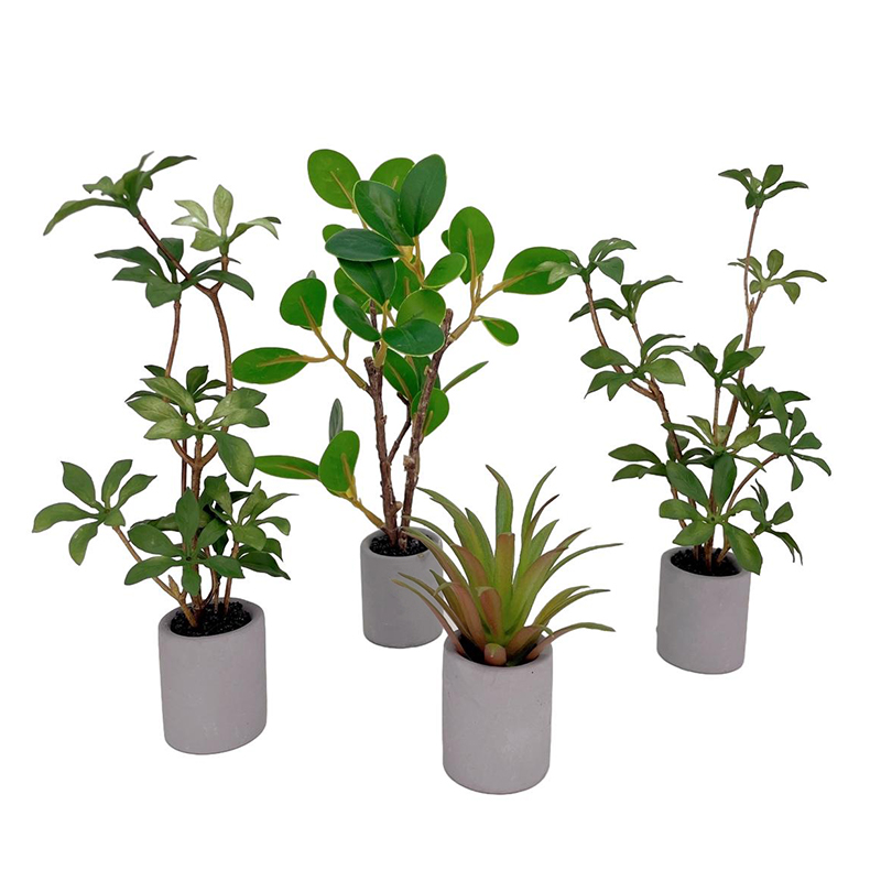 Bonsai Garden Home - 1:6 인형의 집 미니어처 화분, 녹색