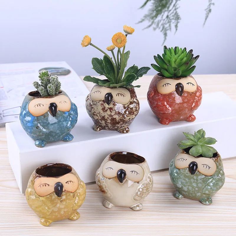 Bonsai Garden Gift - 미니 세라믹 부엉이 다육식물 화분 귀여운