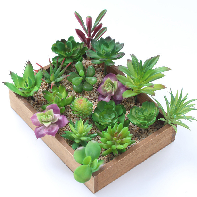 2021 인공 다육 식물 홈 데코 미니 분재 정원 침실 - Bonsai Garden Home 리뷰 및 가격