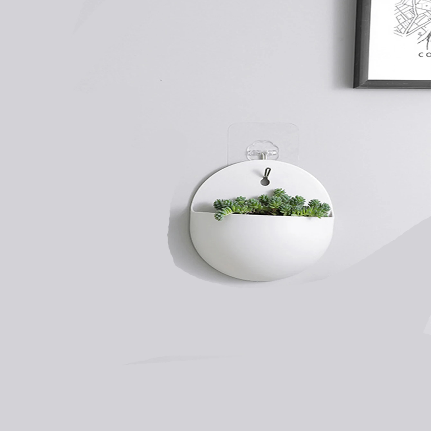 벽걸이형 분재 화분 발코니 걸이형 다육식물 바구니 원예 - Bonsai Garden China 리뷰 및 가격