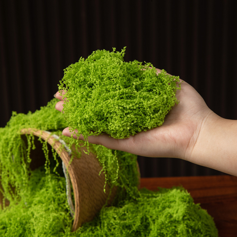 200g 영원한 생명 이끼 DIY 공예 잔디 인공 녹색 - Bonsai Garden Home 리뷰 및 가격