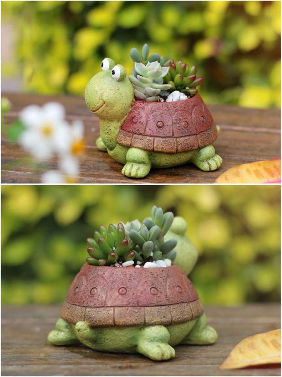 귀여운 거북이 화분 다육 분재 선인장 식물 화분, 여아 - Bonsai Garden Gift 리뷰 및 가격