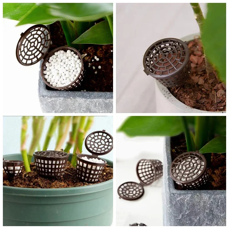 20/50Pcs 뚜껑이 있는 비료 바구니, 식물 화분  - Bonsai Garden Of Ct 리뷰 및 가격