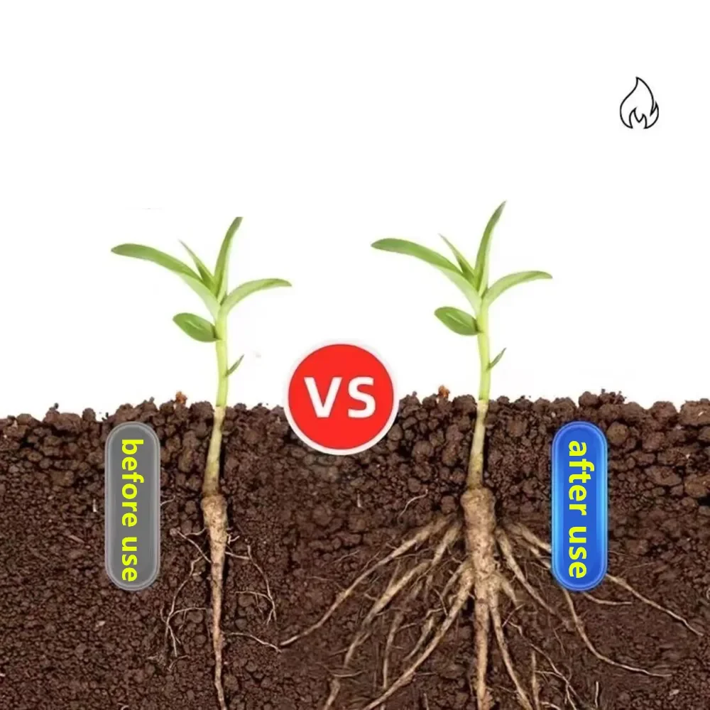 정원용 수용성 비료 식물 꽃 분재 다육식물용 20-20 - Elemental Bonsai Garden 리뷰 및 가격