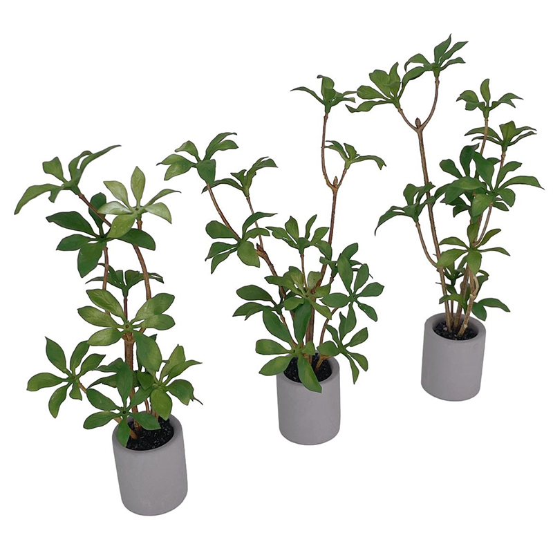 1:6 인형의 집 미니어처 화분, 녹색 잎 식물, 분재 - Bonsai Garden Home 리뷰 및 가격