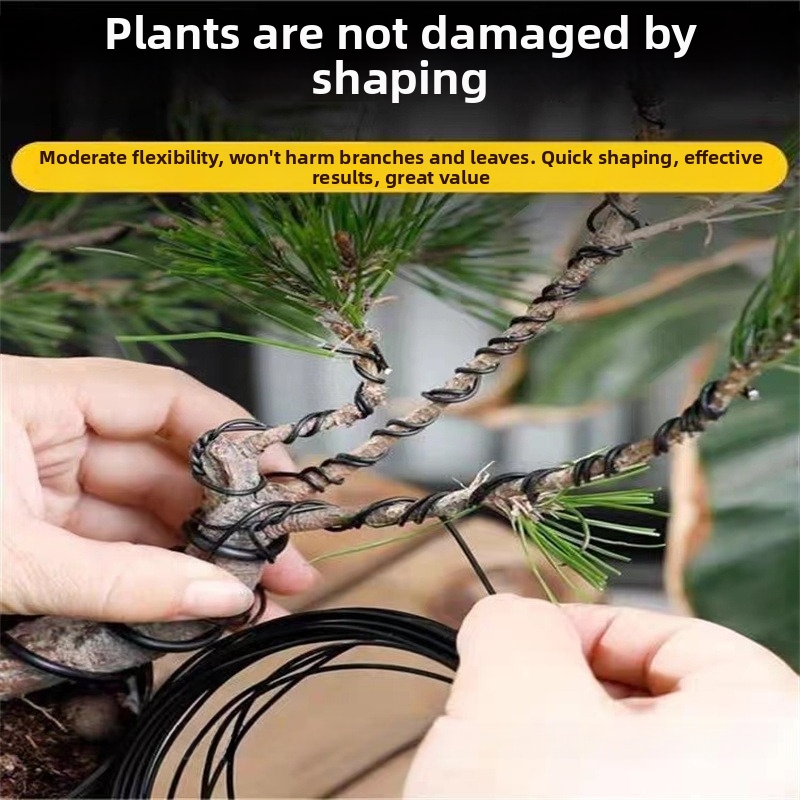 1.5MM 분재 와이어 알루미늄 분재 훈련용 와이어 모 - Bonsai Garden Home 리뷰 및 가격