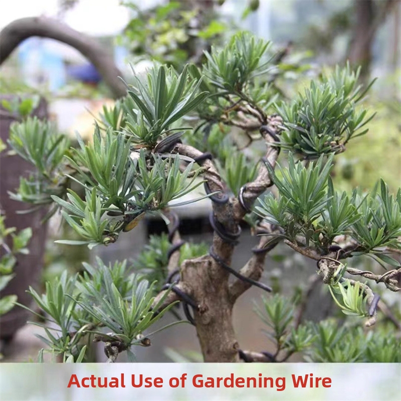 1.5MM 분재 와이어 알루미늄 분재 훈련용 와이어 모 - Bonsai Garden Home 리뷰 및 가격