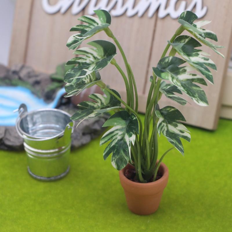 New.1PC 1/12 인형 집 시뮬레이션 몬스테라 녹 - Bonsai Garden Home 리뷰 및 가격