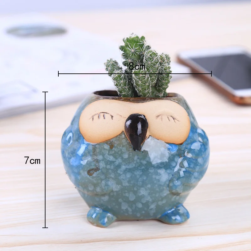 미니 세라믹 부엉이 다육식물 화분 귀여운 만화 선인장  - Bonsai Garden Gift 리뷰 및 가격