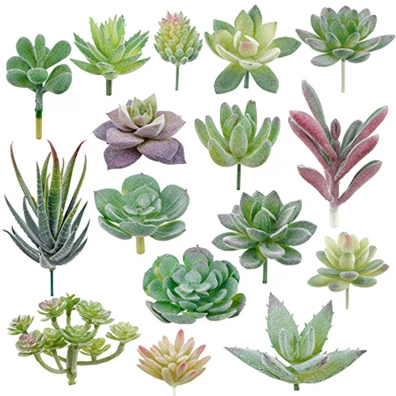 10/20Pcs PVC 다육 식물 가정 정원을위한 녹색 - Bonsai Garden Home 리뷰 및 가격