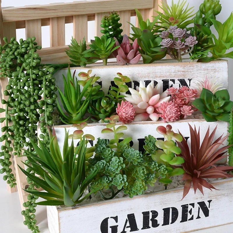 10/20Pcs PVC 다육 식물 가정 정원을위한 녹색 - Bonsai Garden Home 리뷰 및 가격